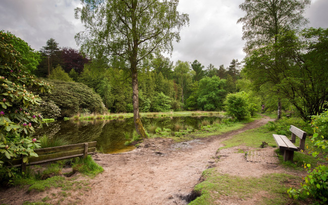 Обои картинки фото природа, реки, озера, скамья, река, парк