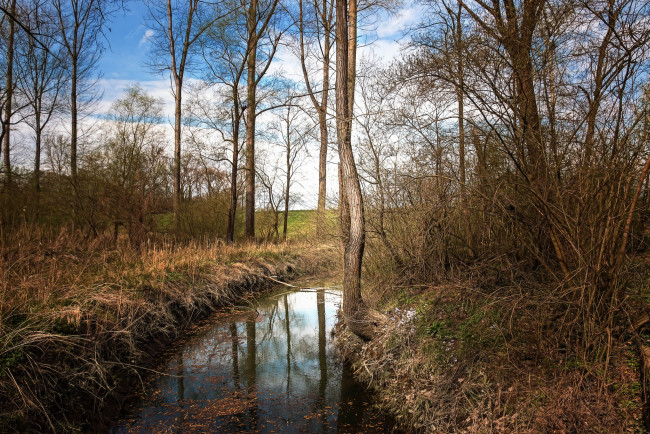 Обои картинки фото природа, реки, озера, лес, река