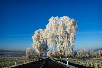 Картинка природа дороги дорога зима