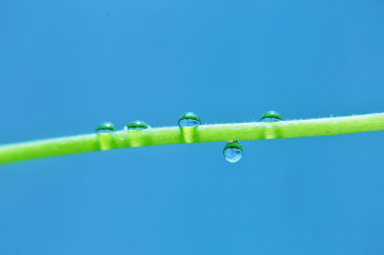 Картинка природа макро капли