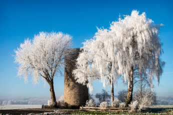 Картинка природа зима