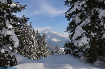 Картинка природа зима