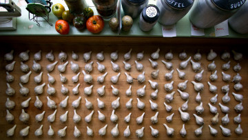 Картинка еда Чеснок много чесночные головки