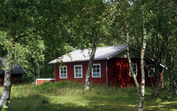 Картинка города -+здания +дома трава дом березы