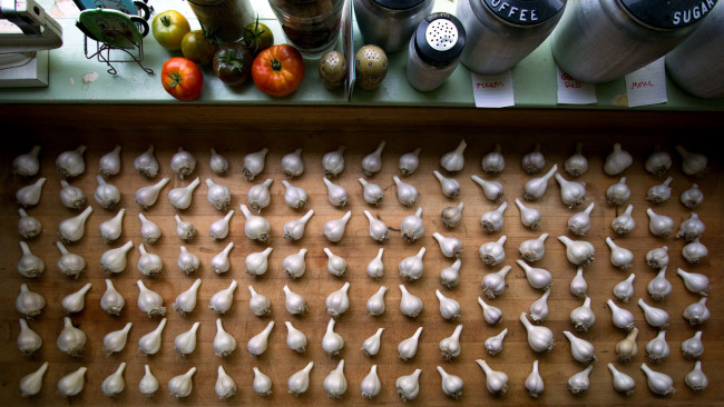 Обои картинки фото еда, Чеснок, много, чесночные, головки