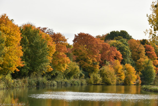 Обои картинки фото природа, реки, озера, осень