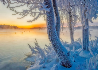 Картинка природа зима простор