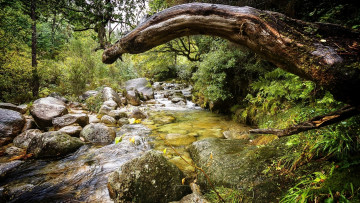 Картинка природа реки озера камни река