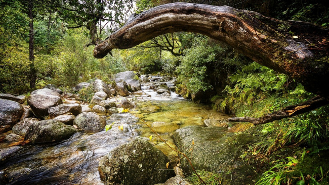 Обои картинки фото природа, реки, озера, камни, река