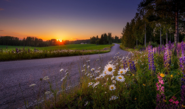 Обои картинки фото природа, дороги, простор