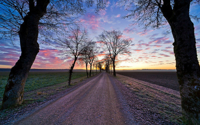 Обои картинки фото природа, дороги, вечер, дорога, проселочная