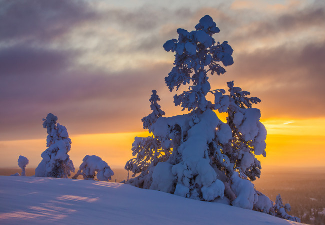 Обои картинки фото природа, зима, простор