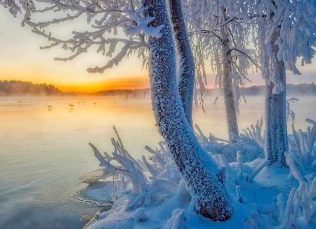 Обои картинки фото природа, зима, простор