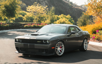 Картинка dodge+challenger автомобили dodge challenger этот паренёк любит утроить классное жогово