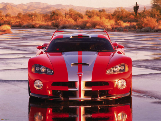 Обои картинки фото dodge viper, автомобили, dodge, viper, srt, 10, acr, мощь, скорость, у, этого, парня, в, крови