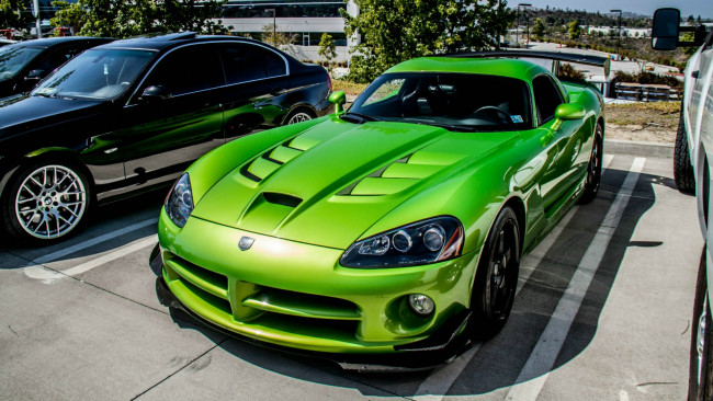 Обои картинки фото dodge viper, автомобили, выставки и уличные фото, dodge, viper, srt, 10, acr, мощь, скорость, у, этого, парня, в, крови