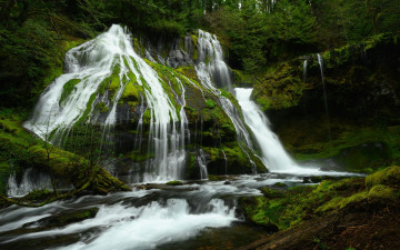 Картинка panther+creek+falls washington+state природа водопады panther creek falls washington state