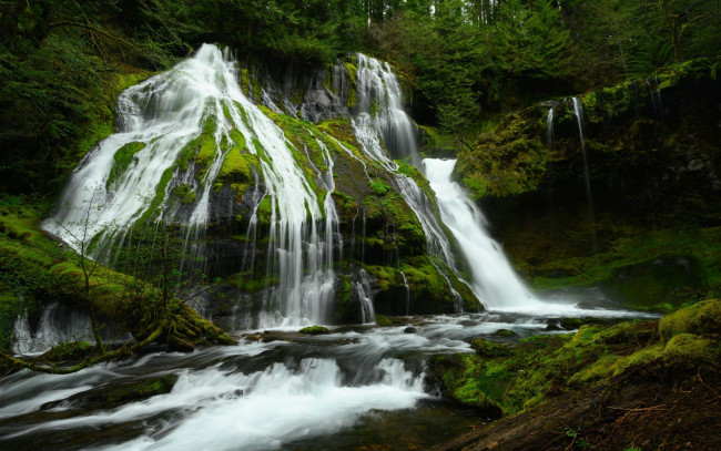 Обои картинки фото panther creek falls, washington state, природа, водопады, panther, creek, falls, washington, state