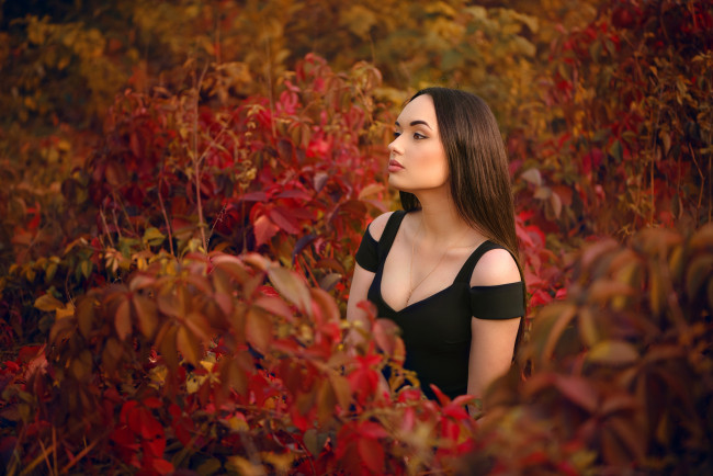 Обои картинки фото девушки, - брюнетки,  шатенки, девушка, красивая, супер, секси, няша, нежная, классная, модница, лапочка, мадам