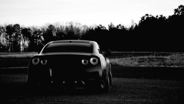 обоя nissan gt-r, автомобили, nissan, datsun, черный, дорога, деревья