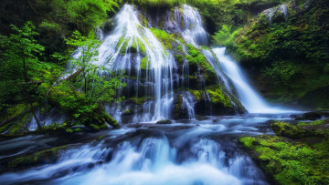 Картинка panther+creek+falls columbia+river+gorge washington природа водопады panther creek falls columbia river gorge