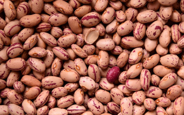 Картинка еда бобовые фасоль россыпь