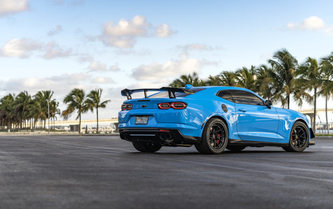 Обои картинки фото chevrolet camaro, автомобили, camaro, голубой, дорога, пальмы