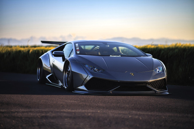 Обои картинки фото автомобили, lamborghini, серебристый, дорога, поле