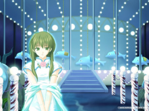 Картинка аниме ever 17