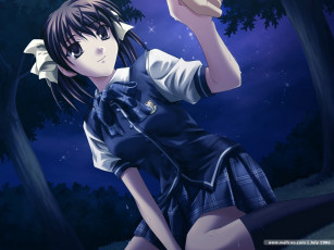 Картинка аниме ever 17