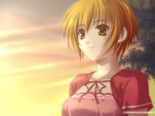 Картинка аниме ever 17