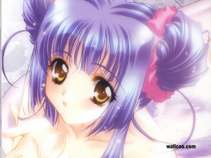 Картинка аниме moonlight lady