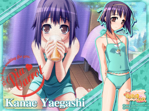 Картинка аниме pia carrot