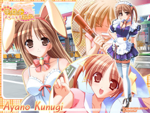 Картинка аниме pia carrot