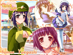 Картинка аниме pia carrot