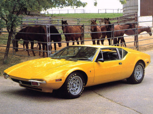 Картинка автомобили de tomaso