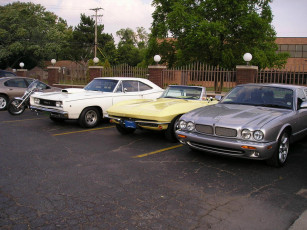 Картинка автомобили разные вместе