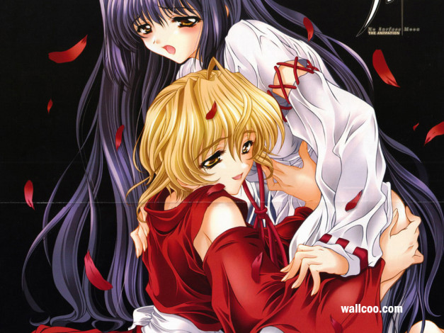 Обои картинки фото аниме, moonlight, lady