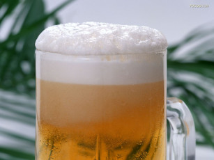 Картинка еда напитки пиво