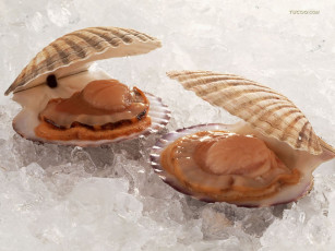 Картинка еда рыба морепродукты суши роллы