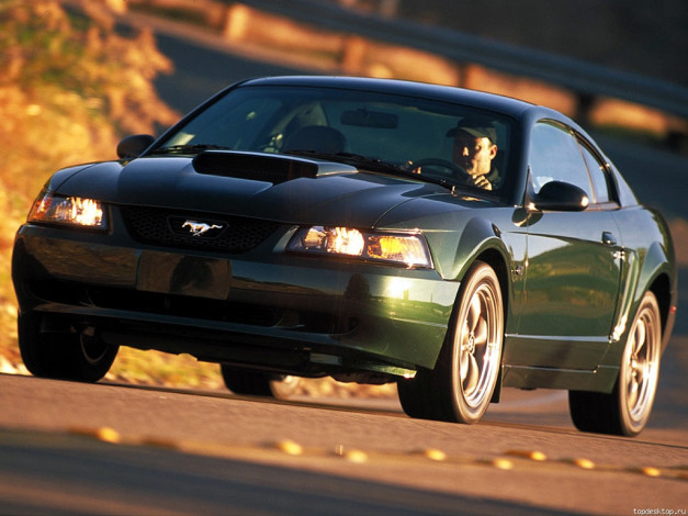 Обои картинки фото автомобили, ford