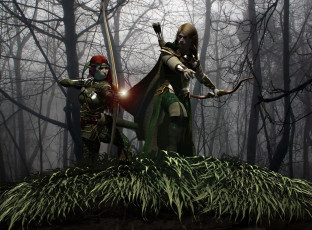 Картинка 3д графика elves эльфы лук
