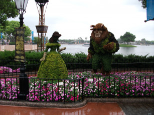 Картинка парк дисней природа цветы