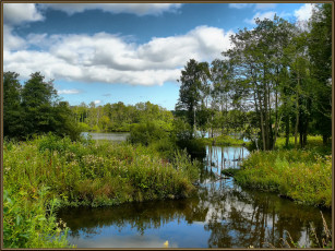 Картинка природа реки озера река облака деревья