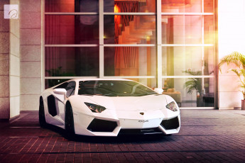 Картинка lamborgini aventador автомобили lamborghini белый
