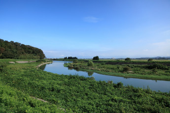 Картинка природа реки озера трава небо река