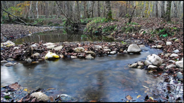 Картинка природа реки озера камни