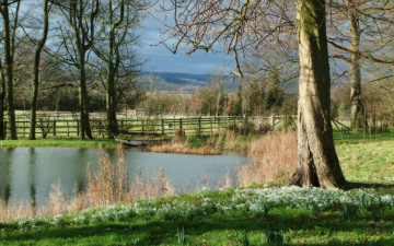 Картинка lago природа парк изгородь трава лето деревья пруд