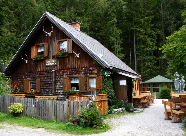 Обои картинки фото австрия, штирия, трагёсс, города, здания, дома, дом, лес, цветы