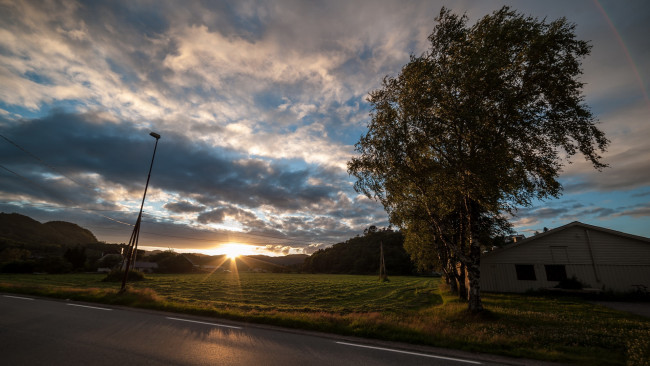 Обои картинки фото природа, восходы, закаты, дерево, облака